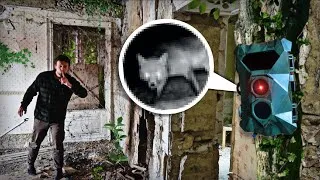 Miniature : Une caméra 50 jours dans des maisons abandonnées