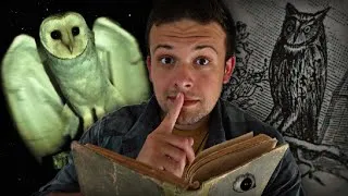 Miniature : Chouette et Hibou : Mythes, Peurs et Légendes Oubliées 🦉