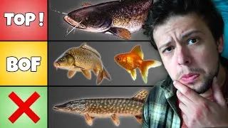 Miniature : On classe TOUT les poissons de FRANCE (Tier List frauduleuse) 🐟