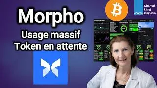 Miniature : Faut-il acheter MORPHO ? Analyse complète de Morpho