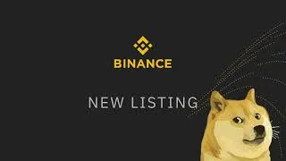 Miniature : BINANCE & DOGE
