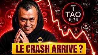 Miniature : ALTCOINS : UN CRASH qui va OFFRIR L'OPPORTUNITÉ ULTIME ? 🚨