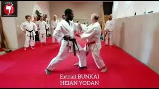 Miniature : Extrait BUNKAI HEIAN YODAN application du morote uchi / morote uke 😉