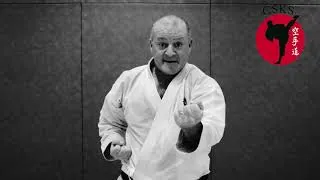 Miniature : KIHON de karaté shotokan