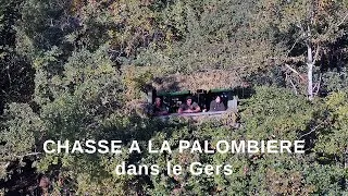Miniature : CHASSE A LA PALOMBIÈRE DANS LE GERS