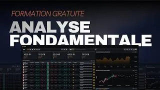 Miniature : Formation gratuite : L'analyse fondamentale Forex de A à Z