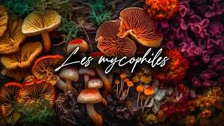 Miniature : 🍄  [Podcast] Les MYCOPHILES #17 - CHRISTOPHE BILLETTE - SECRETS GÉNÉTIQUES des CHAMPIGNONS de PARIS