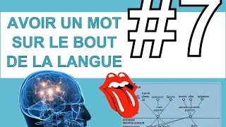 Miniature : CULTURE ET MOI #N°7 - POURQUOI A-T-ON UN MOT SUR LE BOUT DE LA LANGUE ?