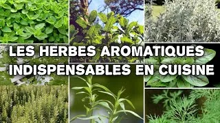 Miniature : Quiz | apprendre le vocabulaire des herbes aromatiques #apprendrelefrancais #français #quiz #légumes