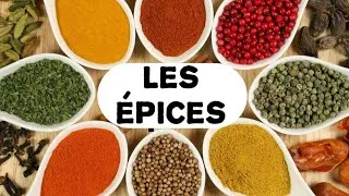 Miniature : les épices |Quiz vocabulaire #quiz #vocabulaire #apprendrelefrancais #français #grammaire #apprendre