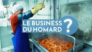 Miniature : Le grand marché du homard : Du luxe à la street food