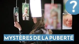 Miniature : Adolescence : ce qui se passe vraiment dans le cerveau