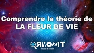Miniature : LA FLEUR DE VIE