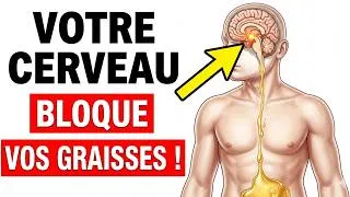 Miniature : Comment forcer votre cerveau à activer la combustion des graisses sans effort conscient