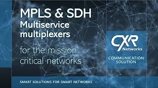 Miniature : MPLS and SDH multiservice multiplexers for the mission critical networks