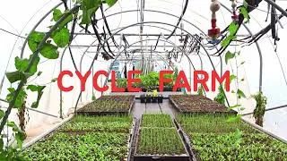 Miniature : Cycle Farm, a super small scale  bio intensive market garden
