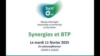 Miniature : Syn'Occ Webinaire 6