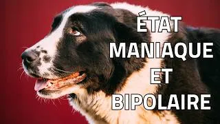 Miniature : État Maniaque et Bipolaire - PSYCHIATRIE VÉTÉRINAIRE