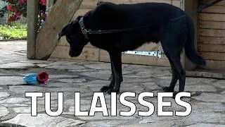 Miniature : TU LAISSES - ÉDUCATION