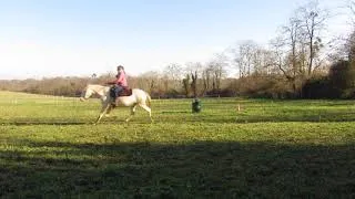 Miniature : Entrainement de Barrel