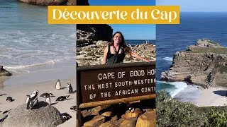 Miniature : Vlog : Direction l'Afrique du Sud !