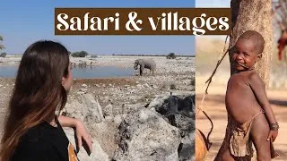 Miniature : Safaris, tribus et nuit dans les montagnes Namibienne