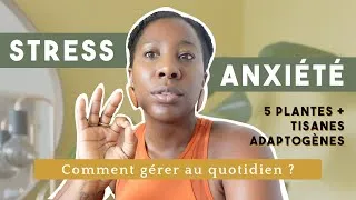 Miniature : Réduire son stress et son anxiété grâce aux plantes adaptogènes (+ recettes)