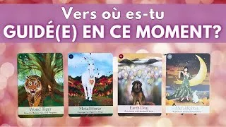 Miniature : 🦋💫VERS OÙ L'UNIVERS TE GUIDE EN CE MOMENT? 🦚 333 ✨