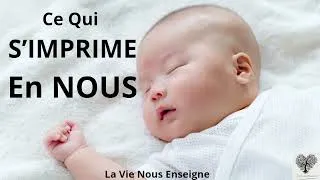 Miniature : Grossesse, naissance et première année : comment tout commence sans mémoire