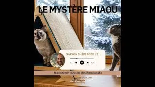 Miniature : S5-4 : Les ressources du chat : clé du bien-être et d’une cohabitation sereine