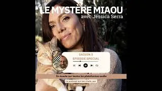 Miniature : S5 -Spécial : Jessica Serra : dans la tête des chats et au cœur de l’éthologie