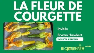 Miniature : À fleur de ... courgette - En Quête De Saveurs