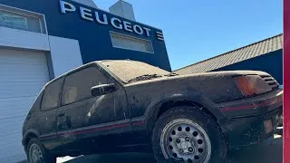 Miniature : 205 GTI au nettoyage après sa sortie de grange 🚗