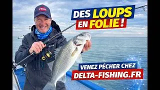 Miniature : Des loups en folie...