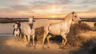 Miniature : Les secrets de la Camargue (le far-west français)
