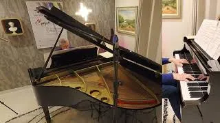 Miniature : Chopin : Mazurka Op.63 n°3 + Nocturne Op.27 n°2