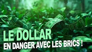 Miniature : Le dollar est en danger avec les Brics ! Economie mondiale qui change !