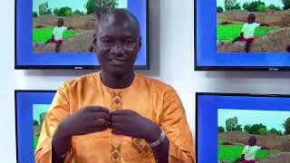 Miniature : Djènèba, un film école de Bata Diallo (Décryptage)