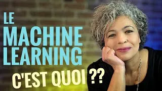 Miniature : Le Machine Learning expliqué simplement