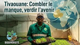 Miniature : Tivaouane: Combler le manque, verdir l’avenir 