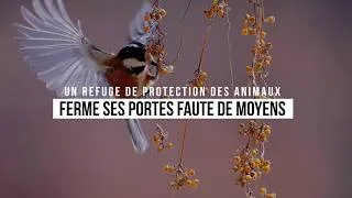 Miniature : ABANDONNÉ PAR L'ÉTAT, CE REFUGE ESSENTIEL À LA FAUNE SAUVAGE CONDAMNÉ À FERMER