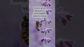 Miniature : Minute Positive #4