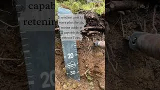 Miniature : Minute Positive #2