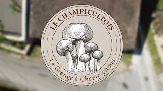 Miniature : Présentation Champicultois La grange à champignons Bonboillon / Florent VIGOT / DAJ Production