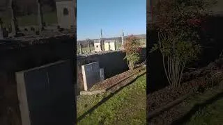 Miniature : June, tu m'entends au Ciel, ma belle petite sourde, gentille dalmatienne "la June elle hein une” RIP