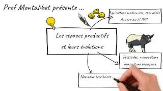 Miniature : Le cours lu - Les espaces productifs et leurs évolutions (3ème)