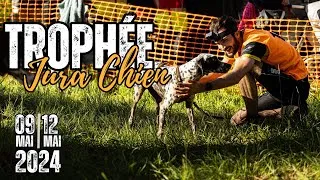 Miniature : TROPHÉE JURA CHIEN 2024 ! PODIUM ?!
