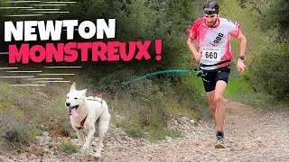 Miniature : MONSTRUEUX ! - CANICROSS DES LIONS DU VERDON