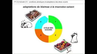 Miniature : P1.C2-B2 & B3 CONDITIONS ABIOTIQUES ET ADAPTATIONS DES ETRES VIVANTS 🍂🦡