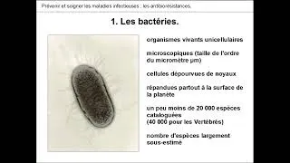 Miniature : BACTERIES & ANTIBIORESISTANCES 🦠💊 - PARTIE 1